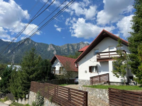 Rustic House Busteni